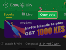 How to copy bet?